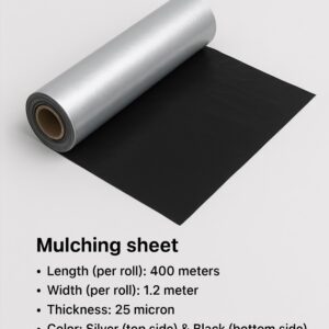 Mulching Sheet for Fruits and Vegetables