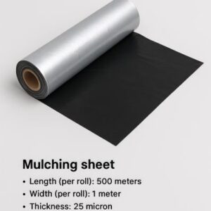 Mulching Sheet for Fruits and Vegetables